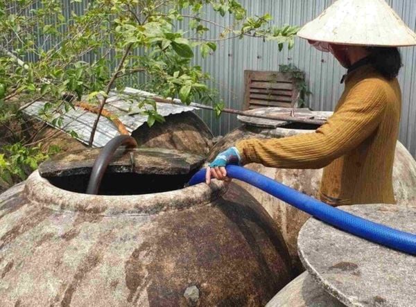 xâm nhập mặn